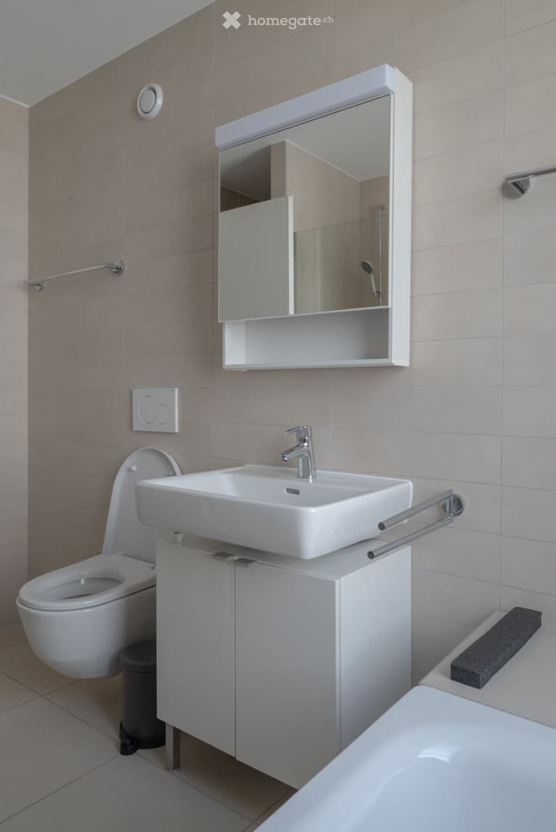 Modern bathroom with a white sink, toilet, mirror cabinet, and bathtub. Features include a built-in cabinet under the sink and a sleek, contemporary design.