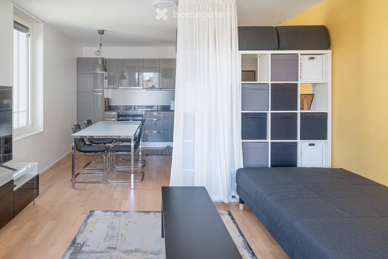 Modern, open-plan living and dining area with a grey sofa, a dining table with chairs, a kitchen area with cabinets, and a shelving unit with storage boxes.