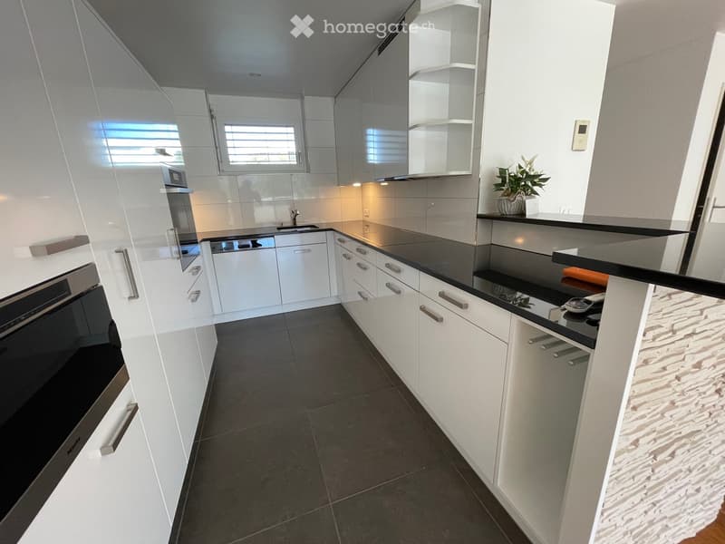 Modern kitchen with white cabinets, black countertops, and stainless steel appliances including an oven and dishwasher. Features a sink with a modern faucet, a potted plant on the counter, and built-in storage with sleek handles.