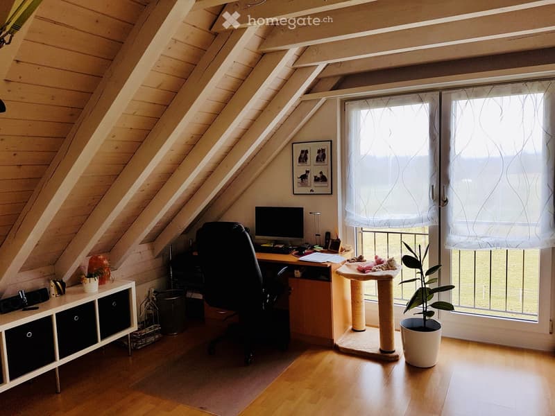 Cozy attic room with wooden slanted ceilings, large window with sheer curtains, desk with computer and chair, cat tree, potted plant, and small cabinet.