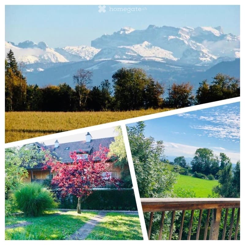 A collage of four images showcasing a scenic mountain landscape, a grassy field, a wooden house with a garden, and a wooden balcony overlooking a green meadow.