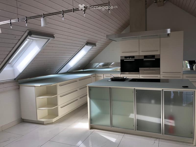 Modern kitchen with white cabinets, glass-fronted storage, island with integrated sink and stove, and skylight windows.