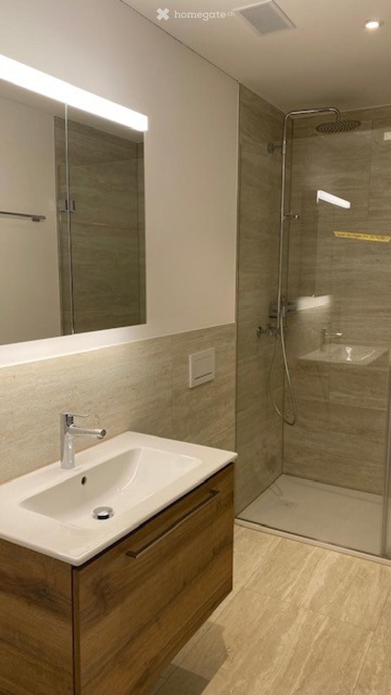 Modern bathroom with a white sink, wooden cabinet, large mirror, and a glass-enclosed shower area.