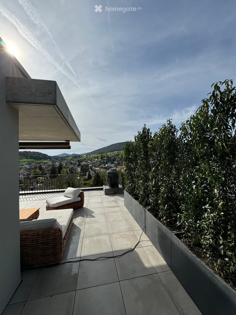Exterior tiled terrace with woven loungers, metal railing, topiary greenery, and distant village view under clear sky.