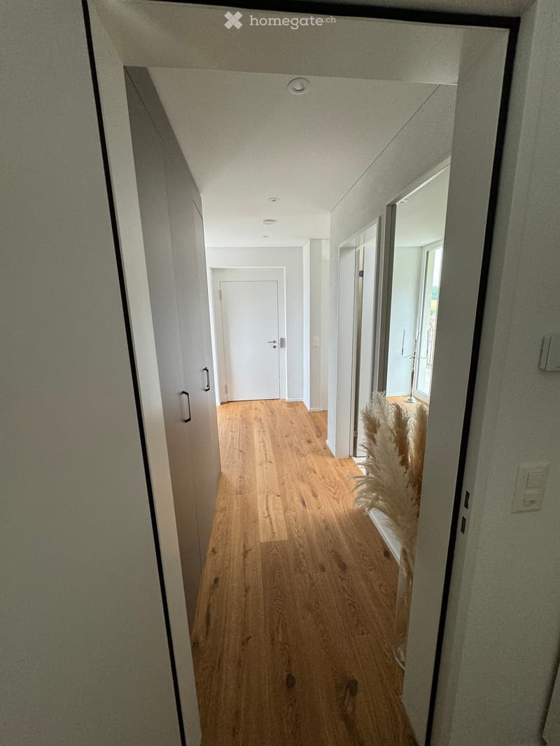 Long hallway, wooden floor, white walls, door on the left, two large mirrors, a plant on the right