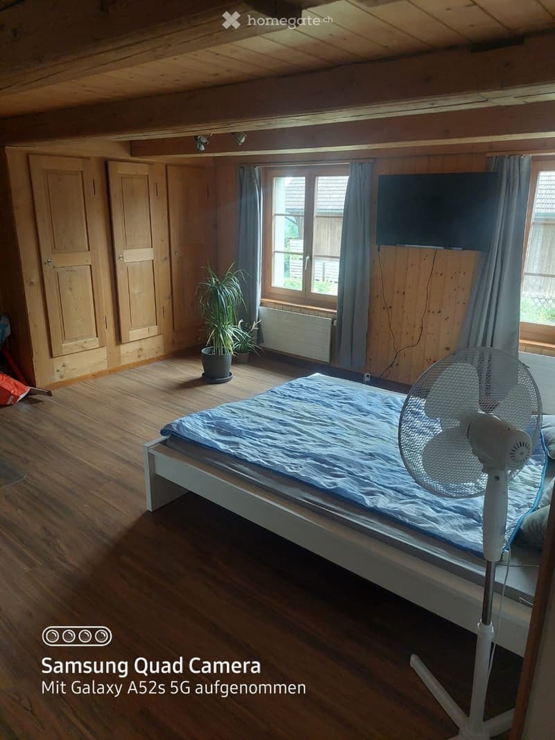 Bedroom. Cozy bedroom with wooden walls and floor, featuring a single bed with blue bedding, a standing fan, a potted plant, and a television mounted on the wall.