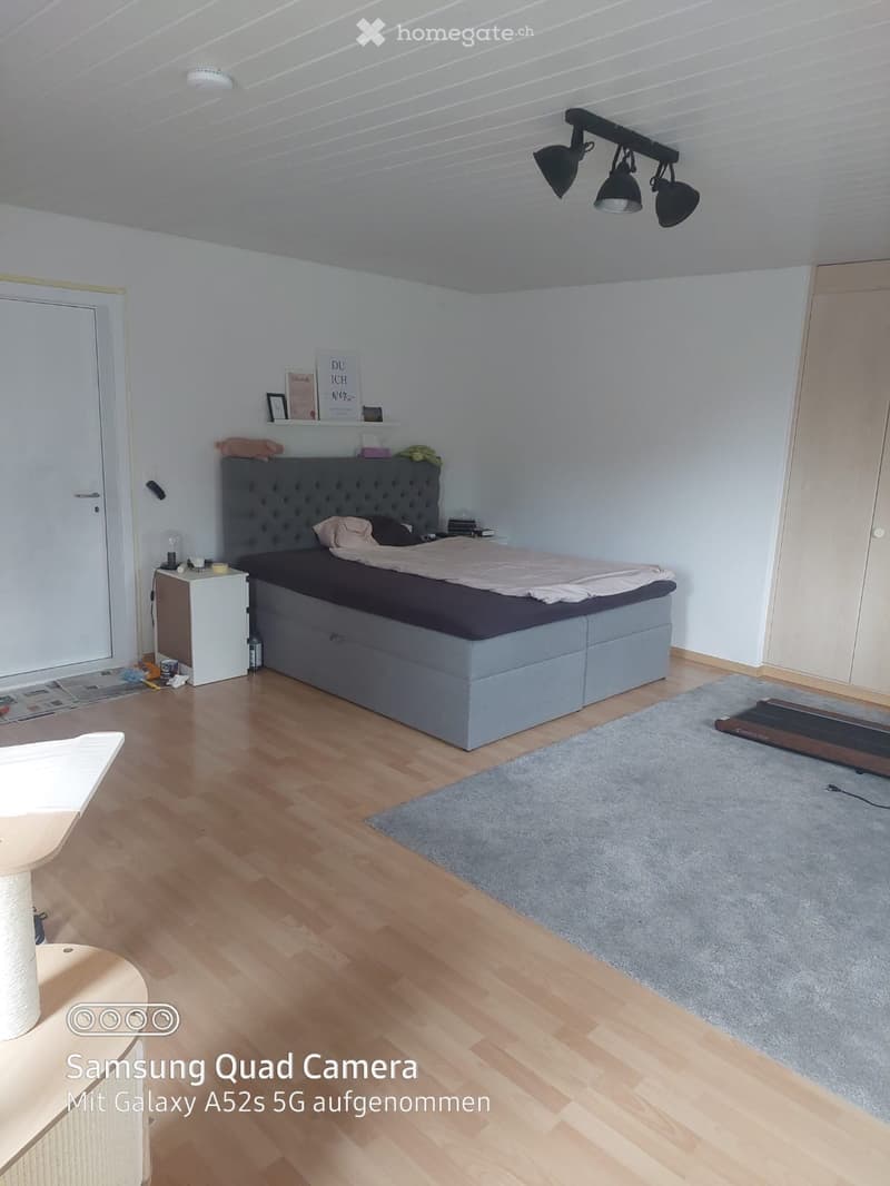 Bedroom. Well-lit bedroom with wooden flooring, a grey upholstered bed, a nightstand, a mirror, a cat tree, and a small rug.
