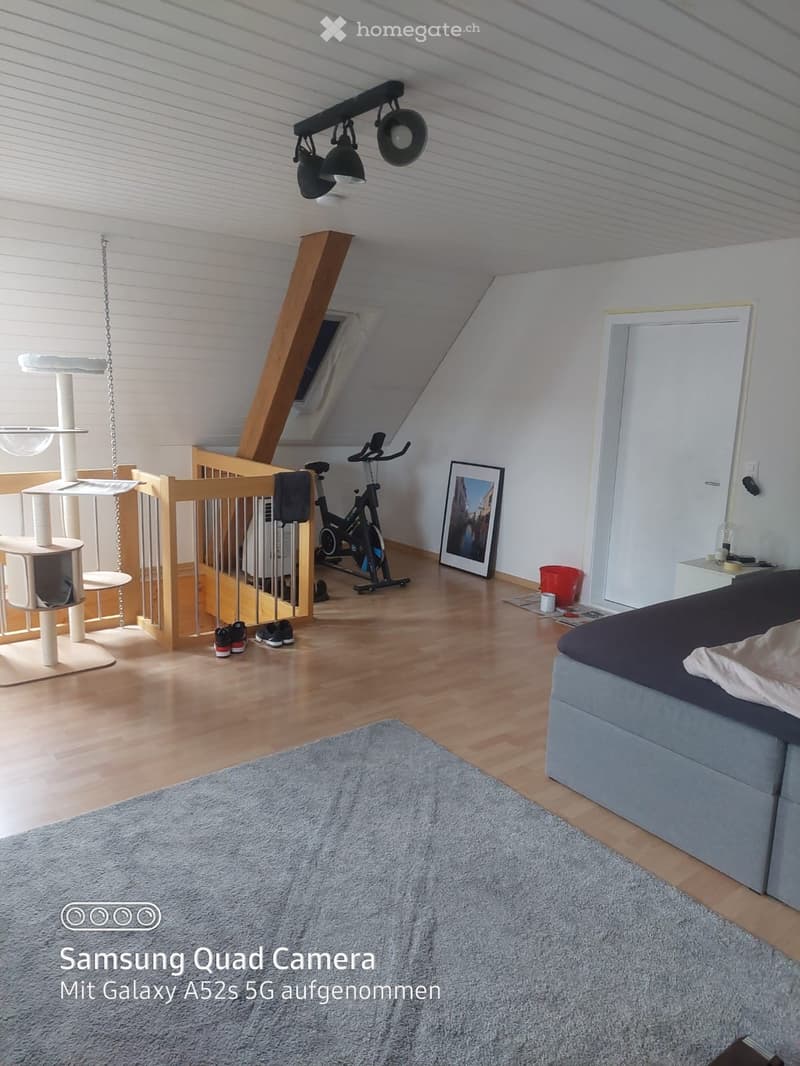 Furnished Room. A well-lit attic bedroom with wooden floors, a grey sofa, a cat tree, an exercise bike, and a picture frame on the wall.