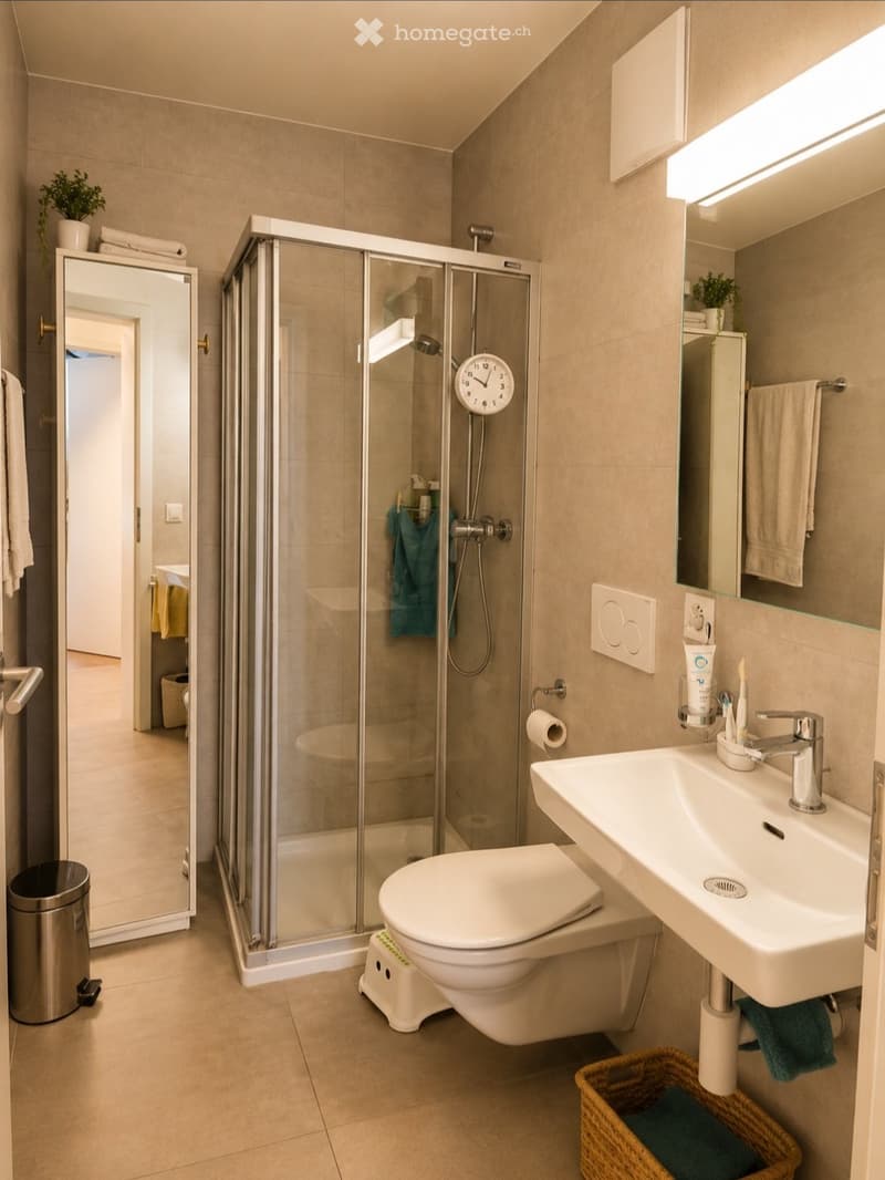 Modern bathroom with a glass-enclosed shower, toilet, sink, and mirror. Features include a towel rack, a small basket, and a trash can.