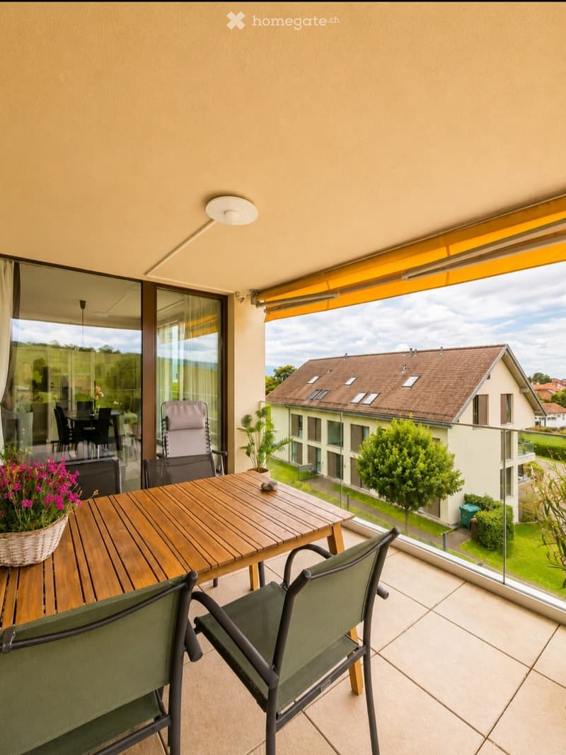 Balcony with wooden table, green chairs, and a flower pot, overlooking a residential area with houses and greenery.