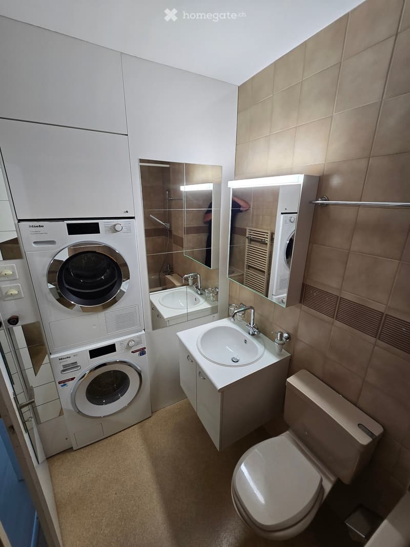Modern bathroom with a sink, toilet, washing machine, and a mirror above the sink.