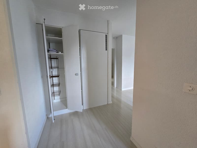 Empty hallway with light-colored walls and wooden flooring, featuring an open closet with wire shelves and a small storage area.