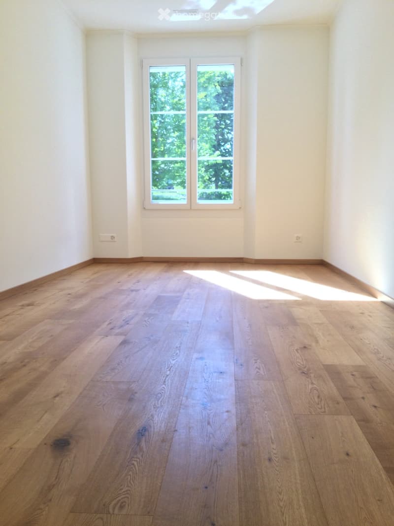 Empty room with light wooden flooring and white walls, featuring a large window with a view of greenery outside.