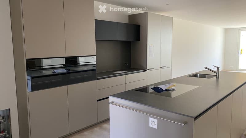 modern kitchen, island, double sink, built-in oven, dishwasher, cabinets, countertops