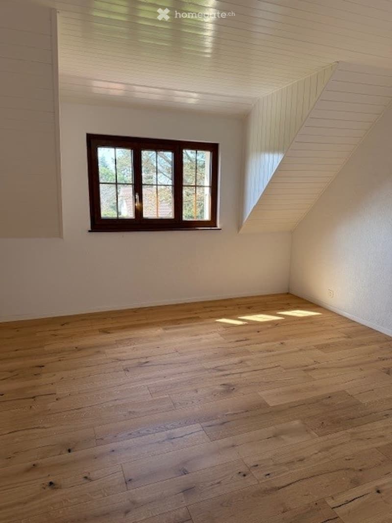 Magnifique villa 6,5 pièces / wunderschönes 6,5 Einfamilienhaus (7)