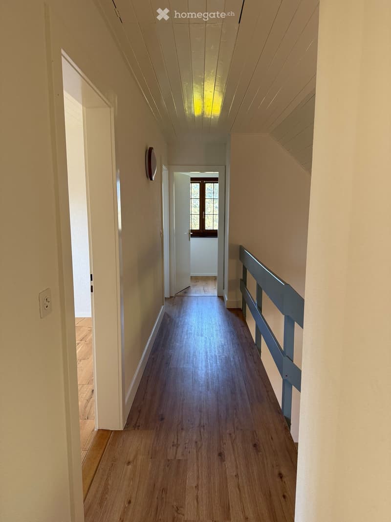 Magnifique villa 6,5 pièces / wunderschönes 6,5 Einfamilienhaus (6)