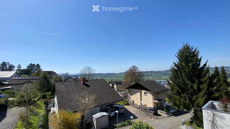 Houses with brown roofs, cars parked in front, trees, bushes, clear sky, distant mountains