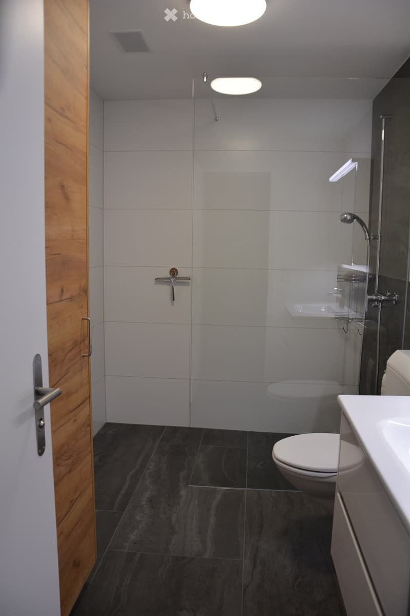 Modern bathroom with dark tiled floor, white toilet, sink, and glass-enclosed shower area.