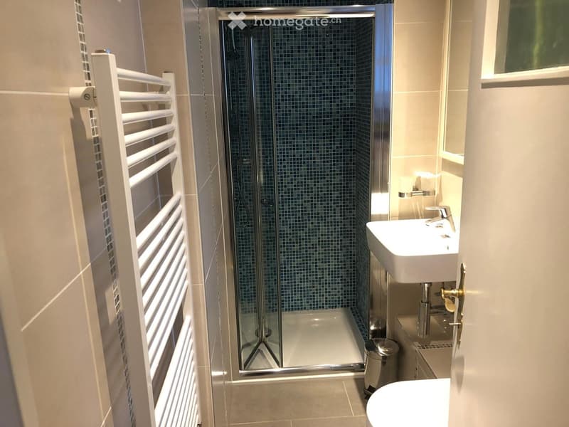 Modern bathroom with a white sink, chrome faucet, glass-enclosed shower, white radiator, and a small trash can.