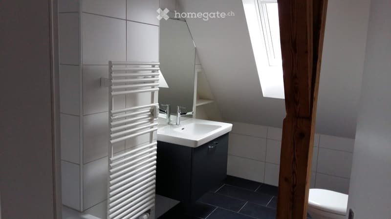 Bathroom. Modern bathroom with white radiator, sink, mirror, and toilet. The room features grey tiles and a skylight window.