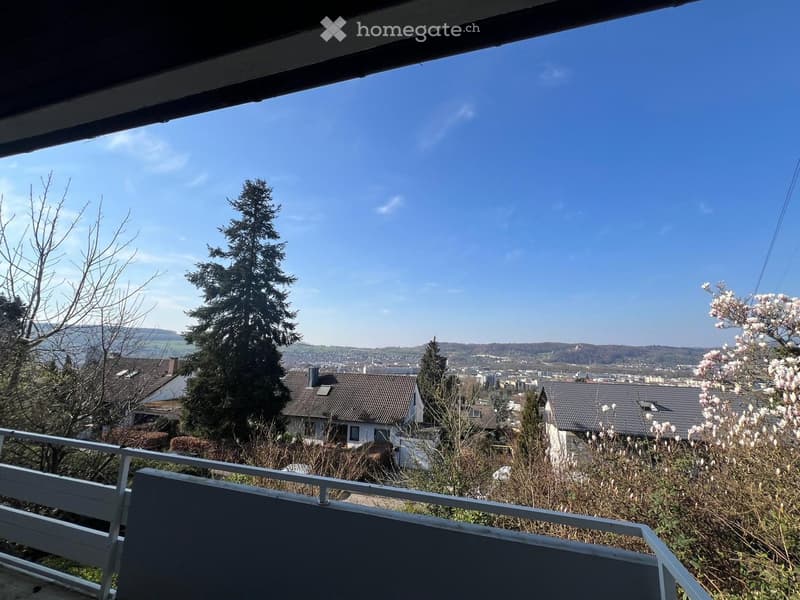 Grosszügiges Mehrfamilienhaus in Lörrach (3)