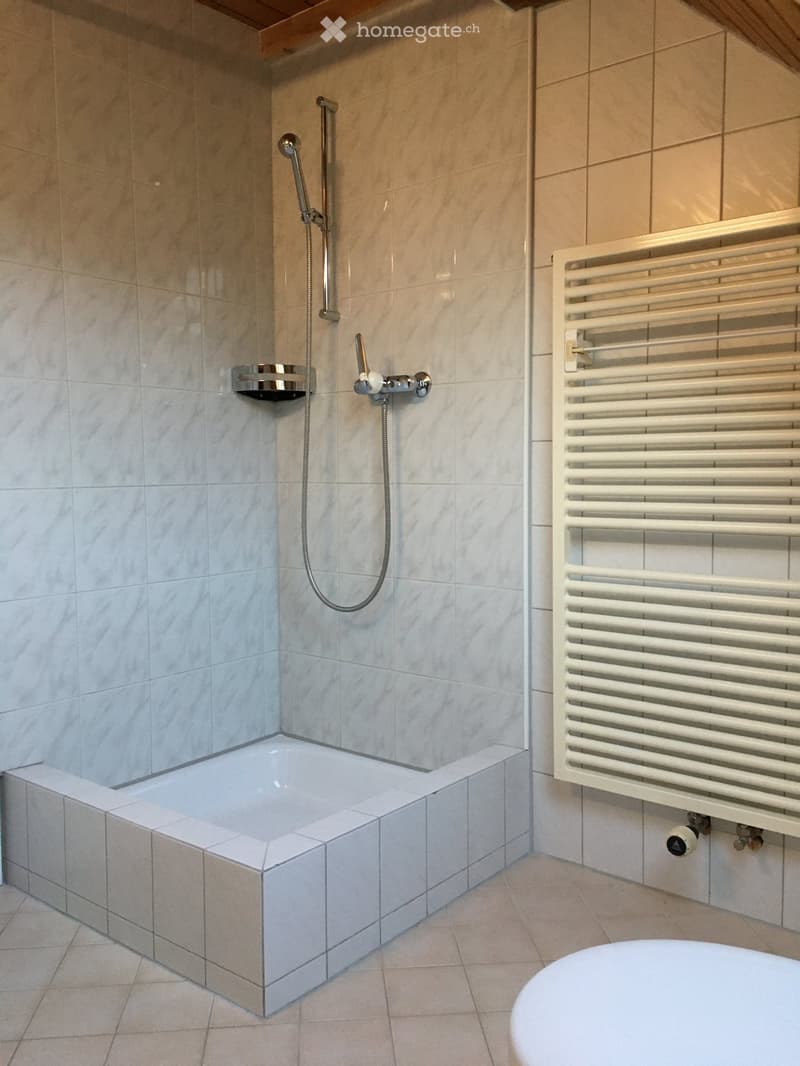 Bathroom with walk-in shower, bathtub, towel rack, and tiled flooring.
