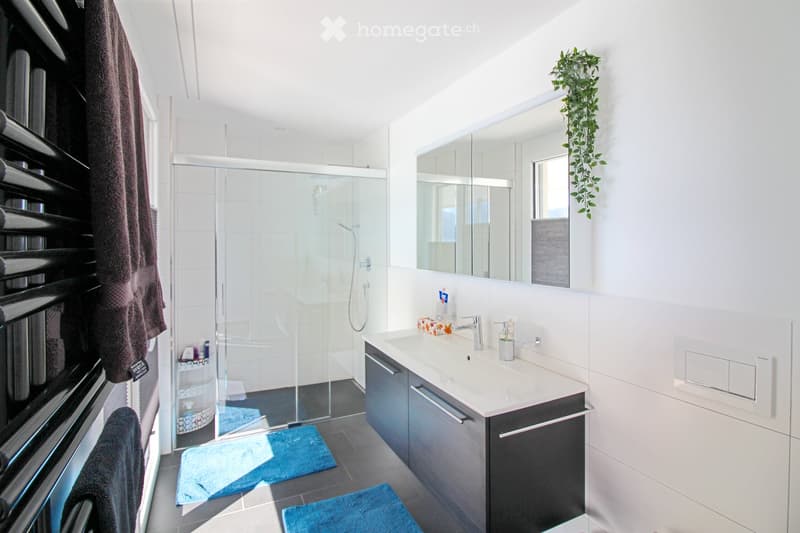 Modern bathroom with a white sink, dark grey cabinet, large mirror, glass-enclosed shower, and blue rugs.