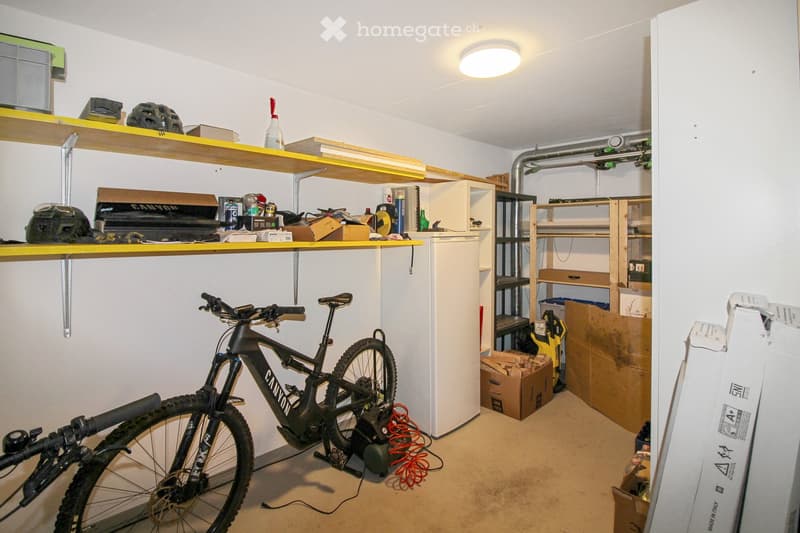 Storage room with a bicycle, shelves holding various items, a refrigerator, and cardboard boxes.