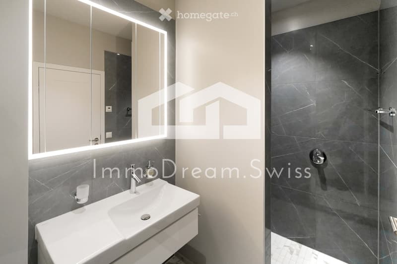 Modern bathroom with a white sink, chrome faucet, built-in mirror with LED lighting, and a glass-enclosed shower with dark tiles.