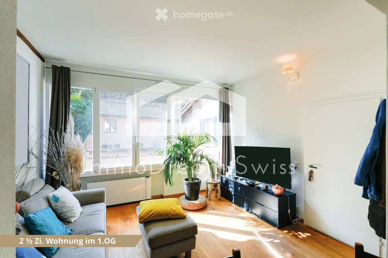 Bright living room with large windows, wooden flooring, grey sofa with colorful cushions, coffee table, television, and decorative plants.