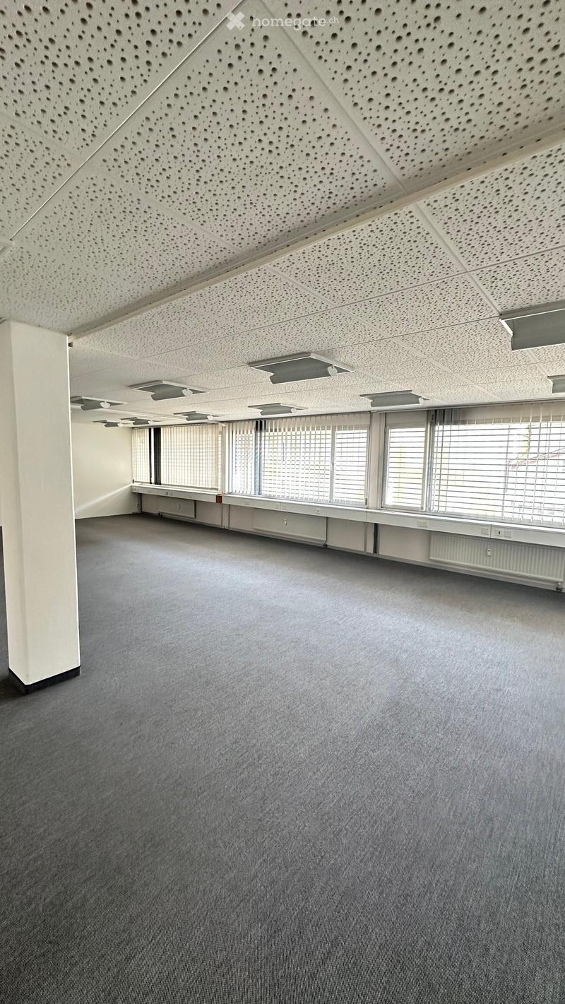 Empty room with grey carpet, white walls, large windows with blinds, and a perforated white ceiling.