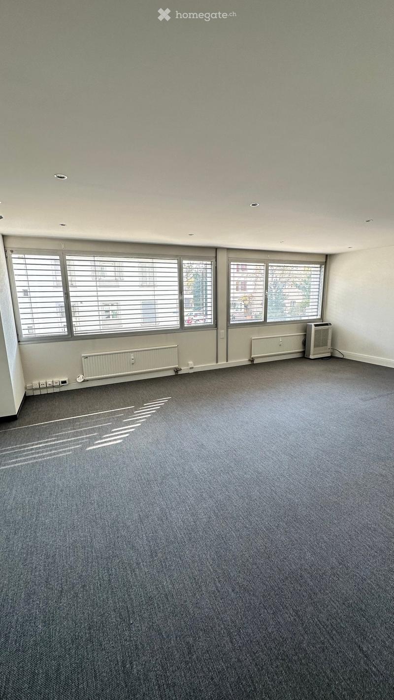 Empty room with grey carpet, large windows with blinds, radiators, and an air conditioning unit.