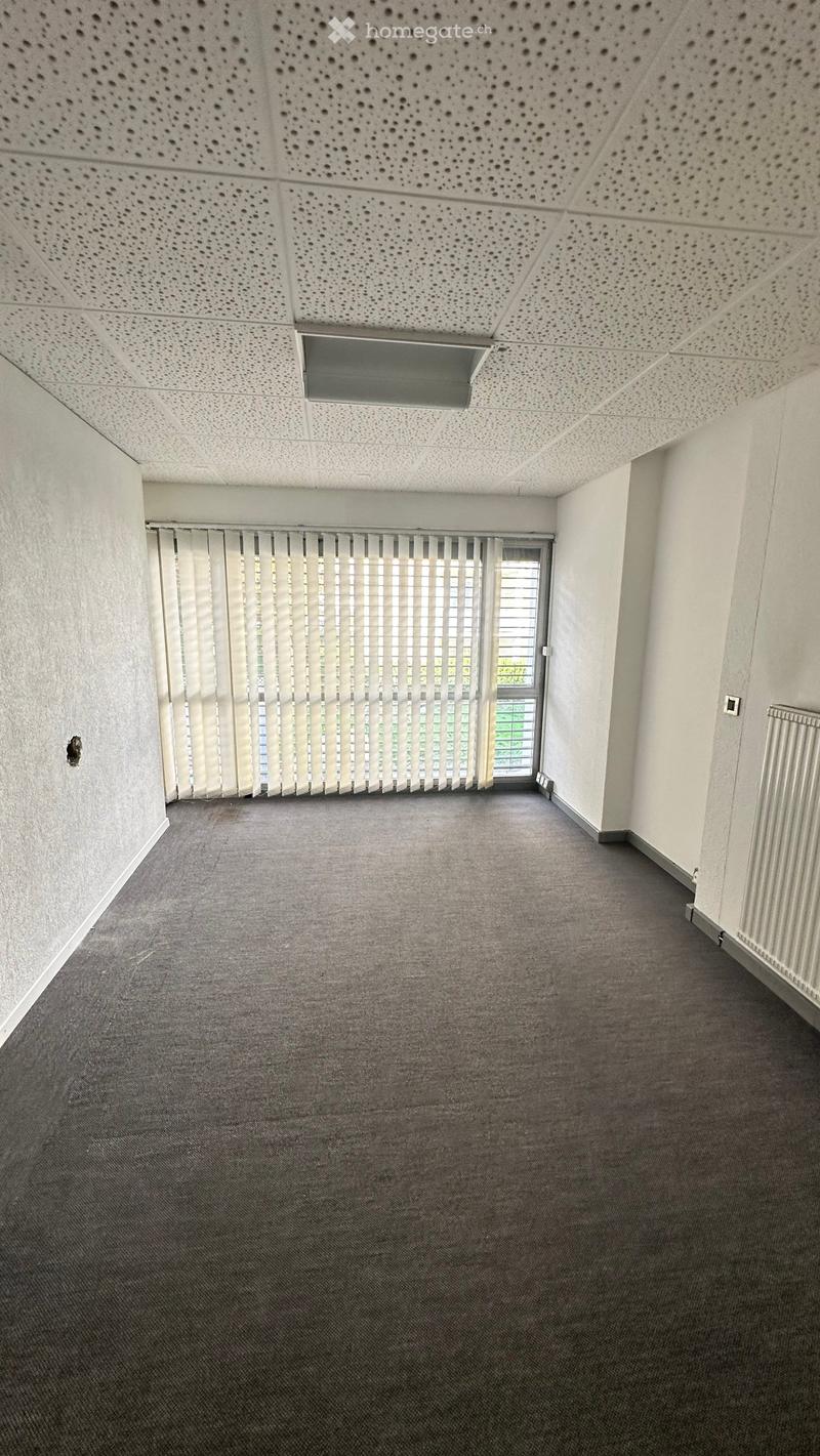 Empty room with grey carpet, white walls, and a window with vertical blinds. The ceiling has a perforated acoustic tile design.
