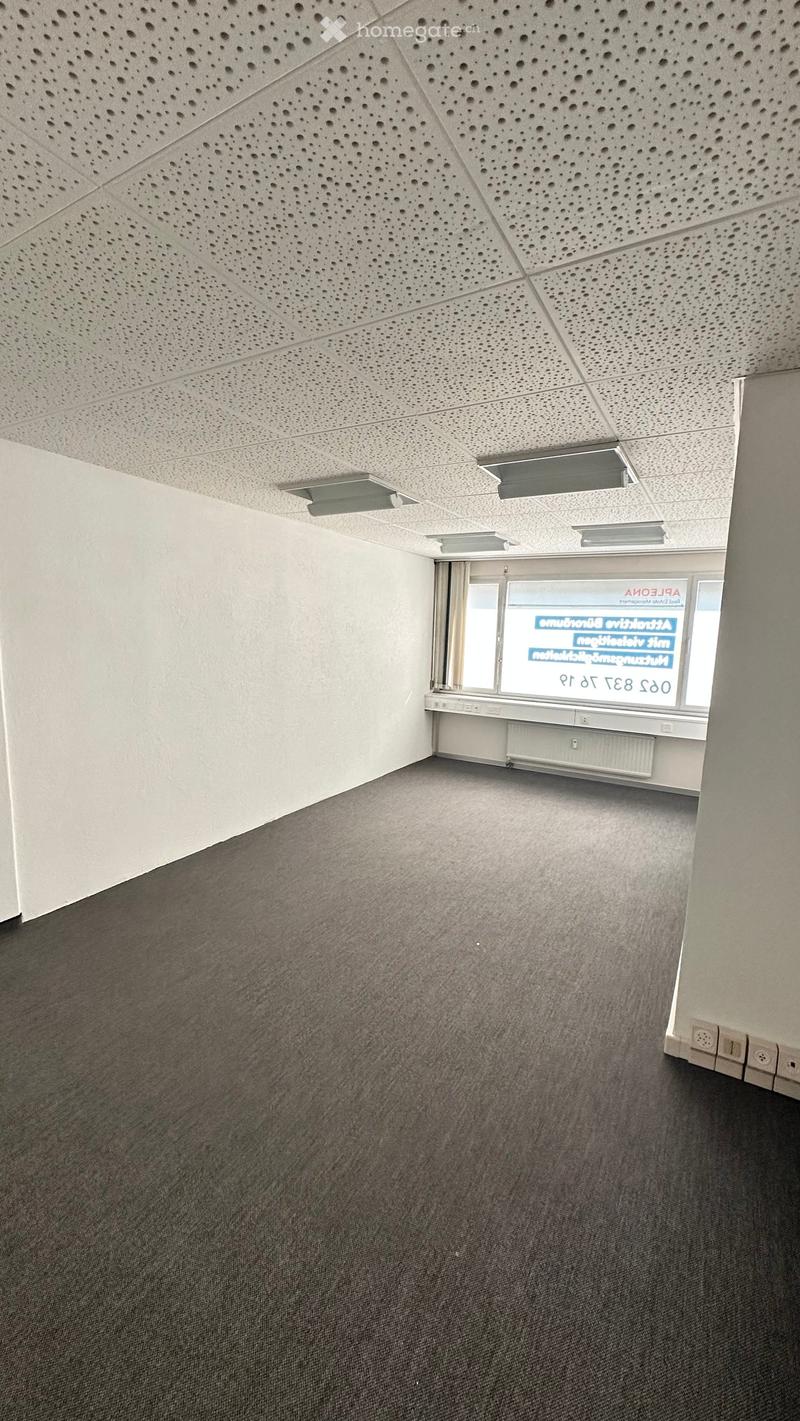 Empty room with grey carpet, white walls, and a perforated white ceiling. A window with a curtain and a radiator are visible.