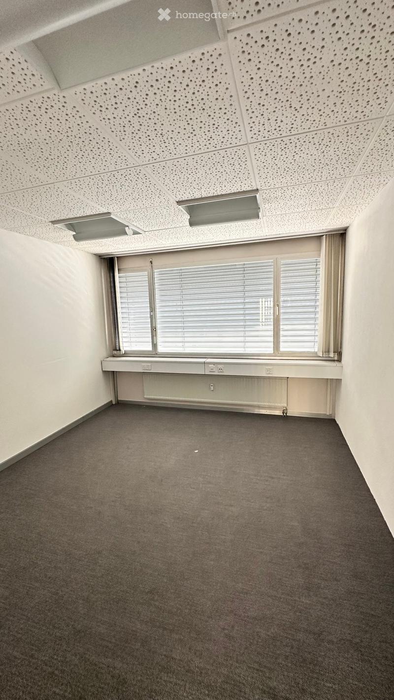 Empty room with grey carpet, white walls, large window with blinds, radiator, and perforated ceiling with lighting fixtures.