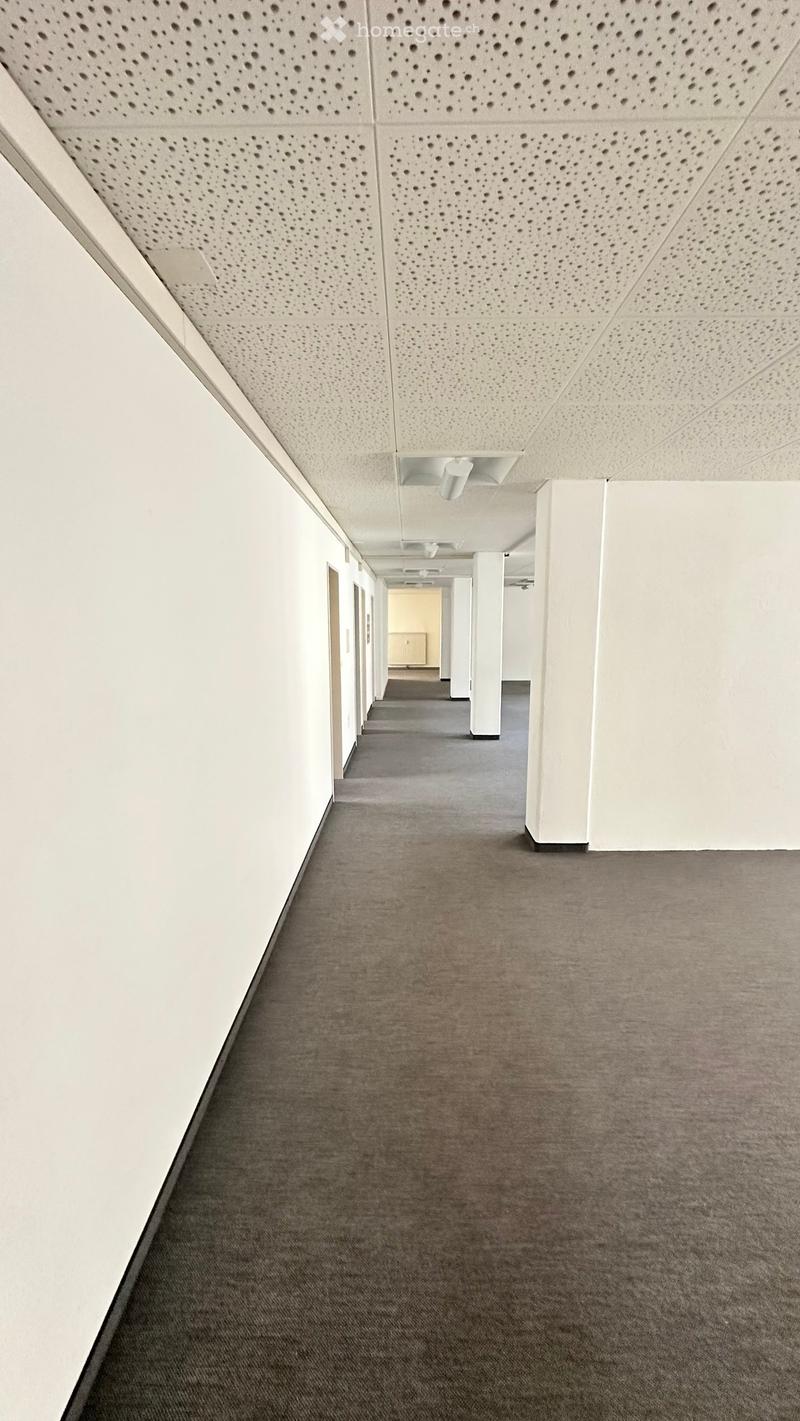 Clean, modern hallway with white walls, grey carpeted floor, and white ceiling with circular perforations. Features white columns and recessed lighting fixtures.