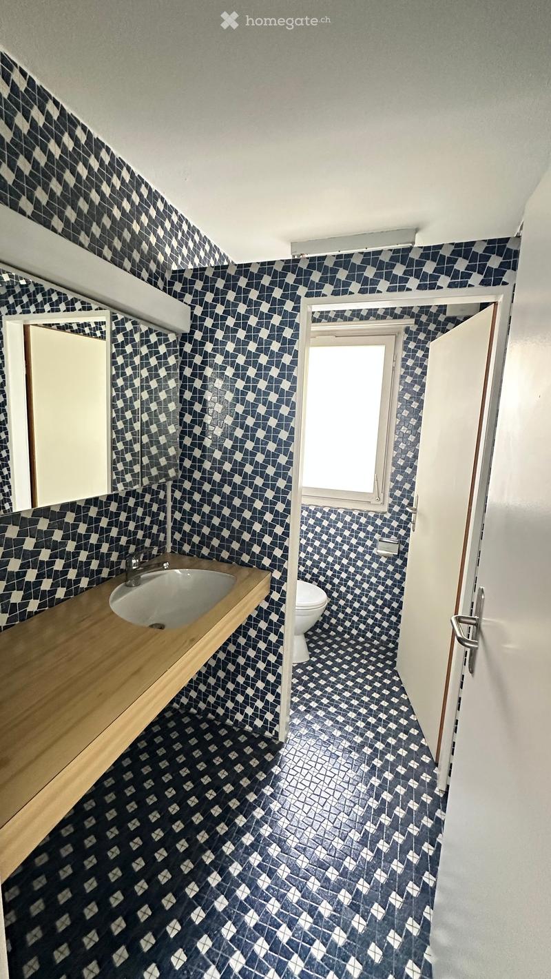 Bathroom with dark blue and white geometric patterned tiles on walls and floor, wooden sink vanity, and a toilet visible in the background.