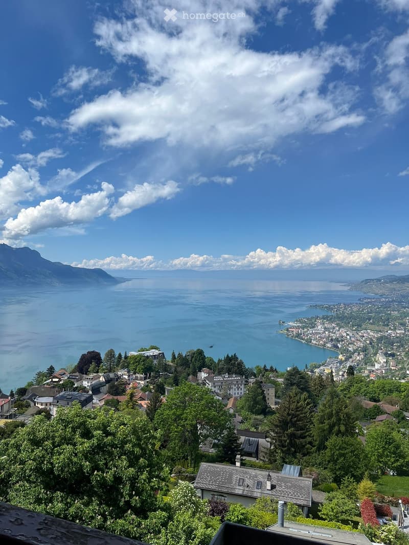 Panoramic view of a lake and surrounding landscape with mountains, trees, and buildings visible in the distance.