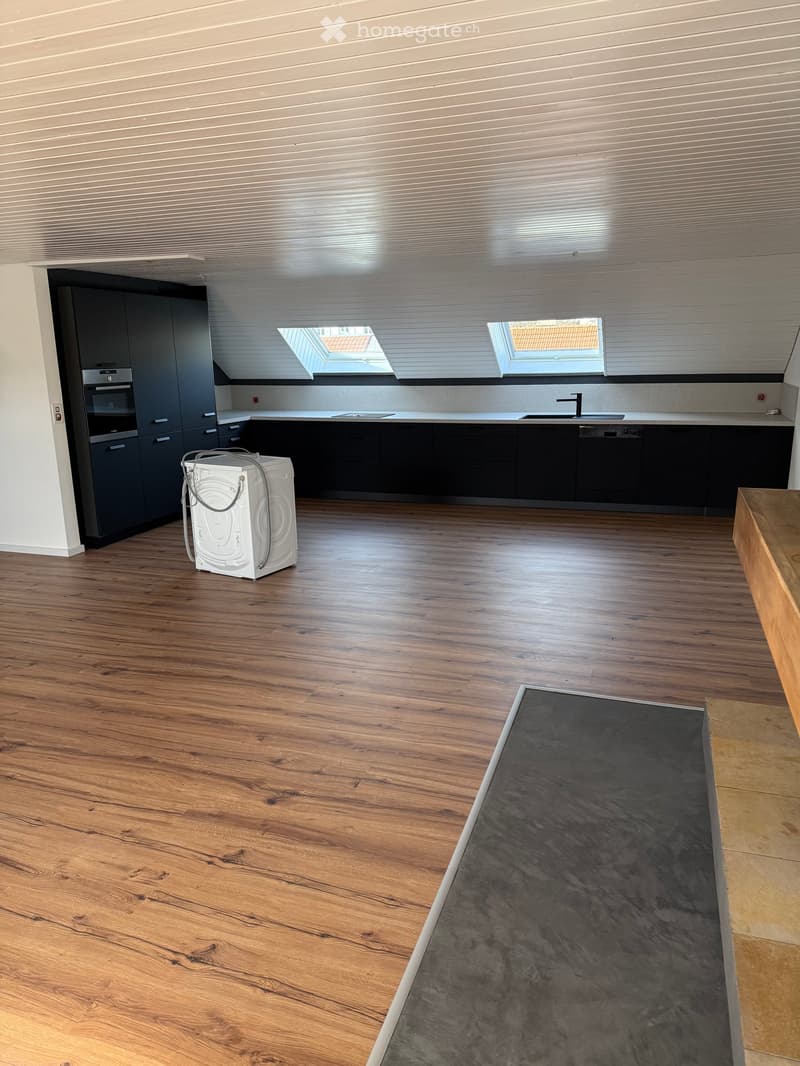 Modern kitchen with dark cabinets, light wooden flooring, and skylight windows. Includes an oven, sink, faucet, and a washing machine.