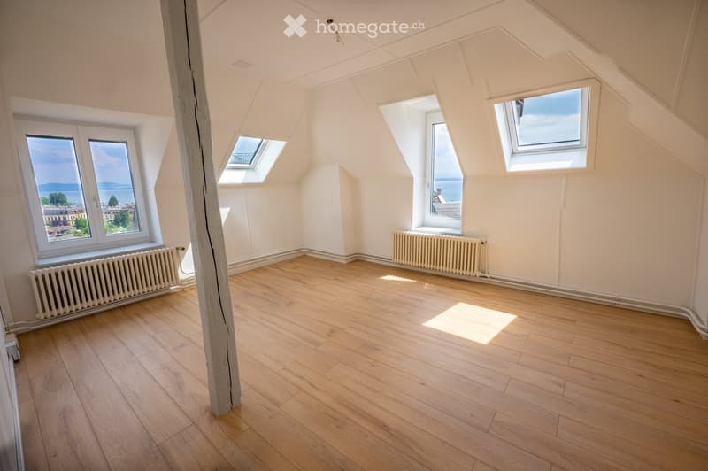 Empty attic room with wooden flooring, white walls, multiple windows, and radiators. Natural light streams in from several windows, including skylights, offering a view of the outdoors.