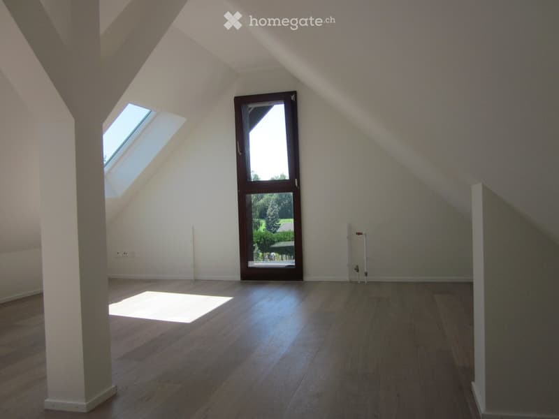white walls, wooden floor, glass door, two windows