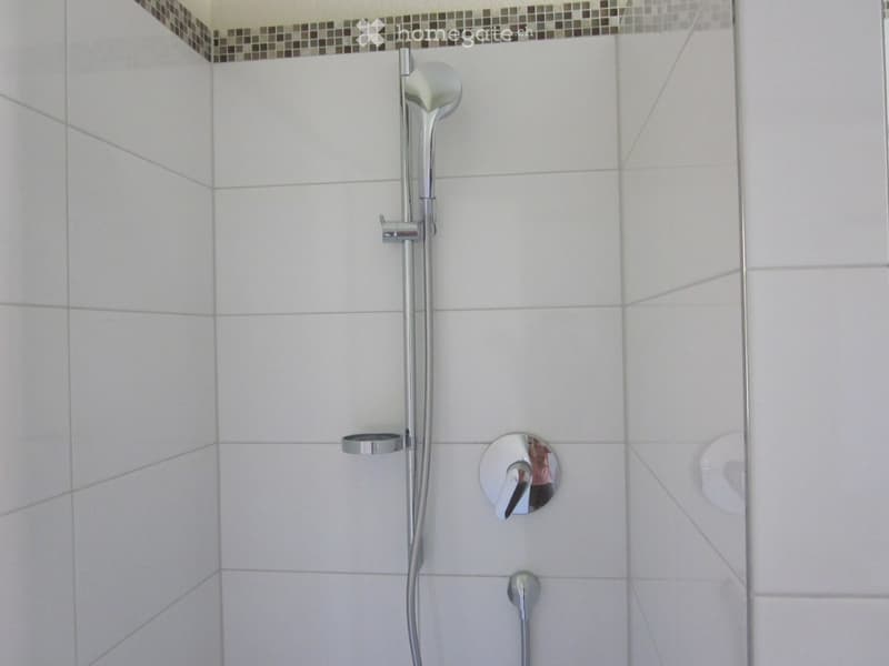 A shower cubicle with a shower head, flexible hose, and soap holder. Tiled walls and floor.