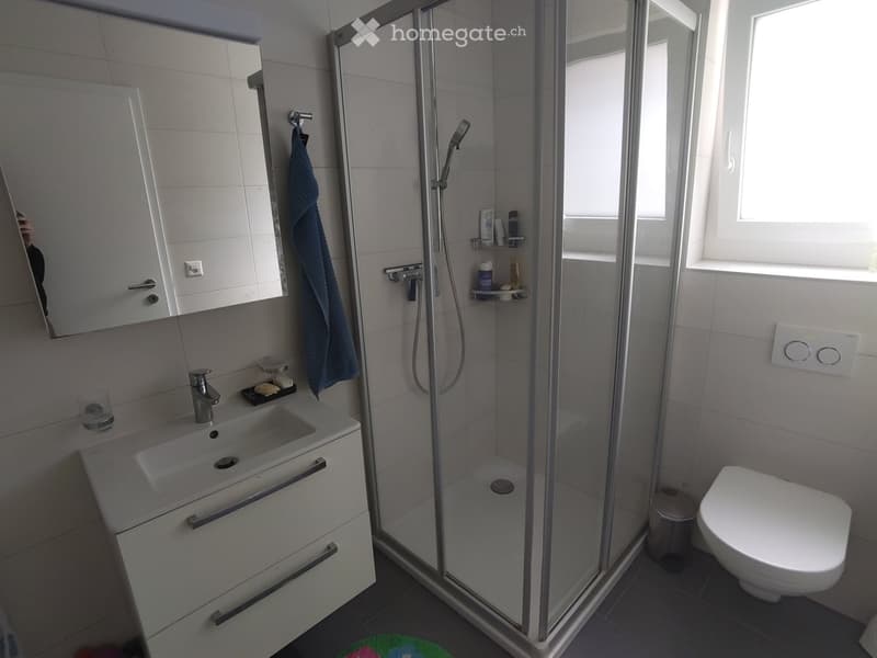 Modern bathroom with a white sink, mirror, cabinet, glass-enclosed shower, and toilet. Includes a towel, cup, and small shower shelf with toiletries.