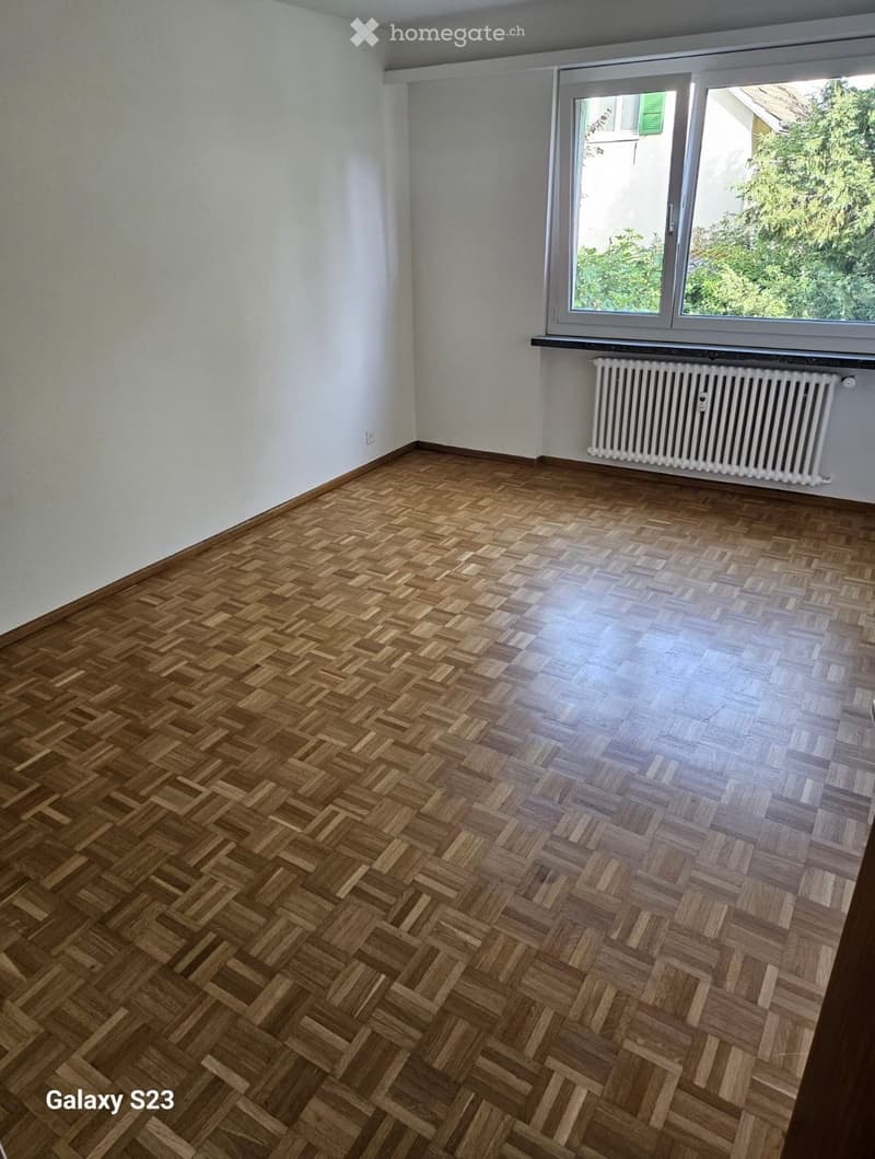 Empty room with wooden herringbone flooring, white walls, and a large window with a radiator below it.