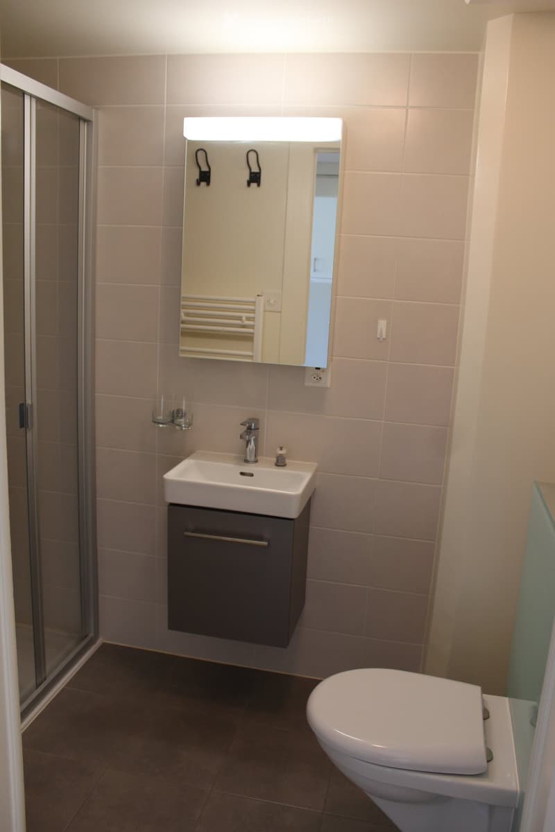 Modern bathroom with beige tiles, a white sink with a dark cabinet, a mirror with built-in lighting, a toilet, and a glass shower enclosure.