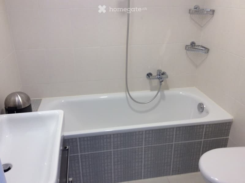 Modern bathroom with a bathtub, sink, toilet, and a handheld shower hose attached to the wall.
