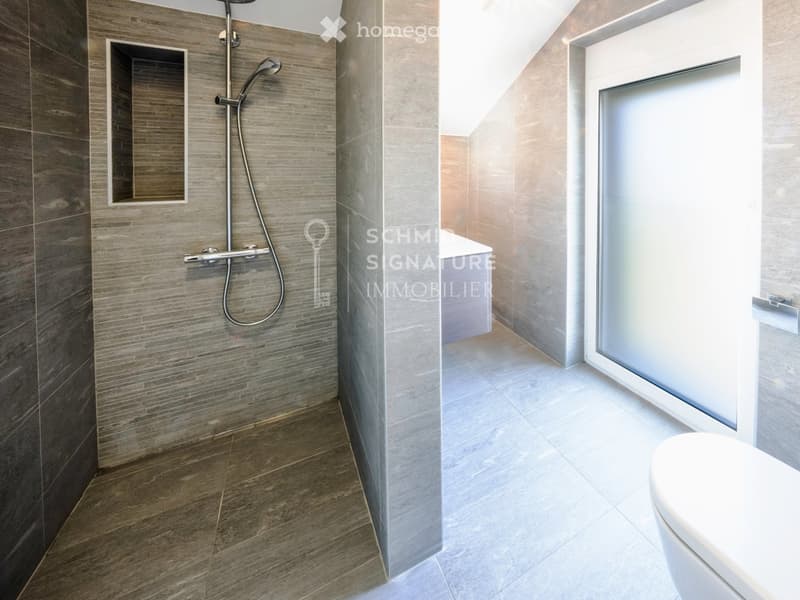 Modern bathroom with dark grey tiled walls, a glass shower enclosure, and a white toilet. The floor is tiled in a light grey marble pattern.