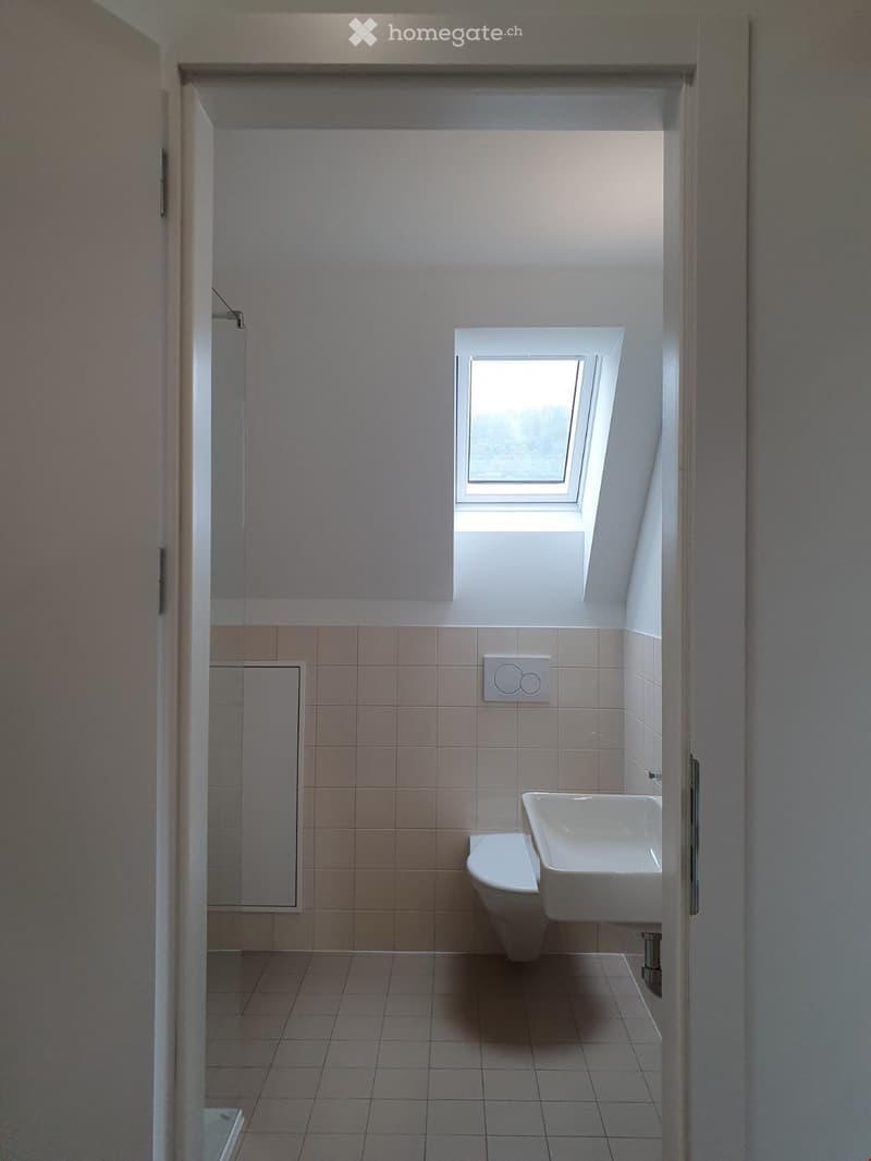 Modern bathroom with tiled walls and floor, featuring a toilet and a sink, with a skylight window providing natural light.