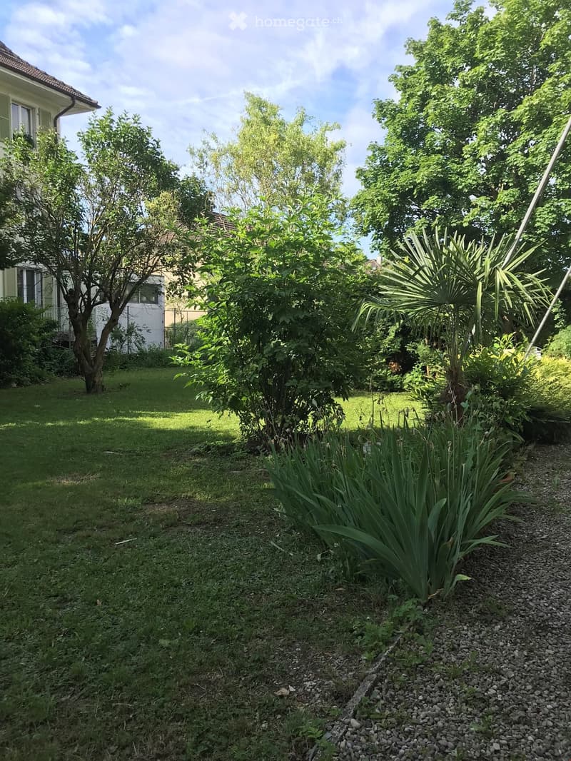 A well-maintained garden with a variety of plants, including shrubs, trees, and a palm-like plant, surrounded by a house with visible windows and a roof.