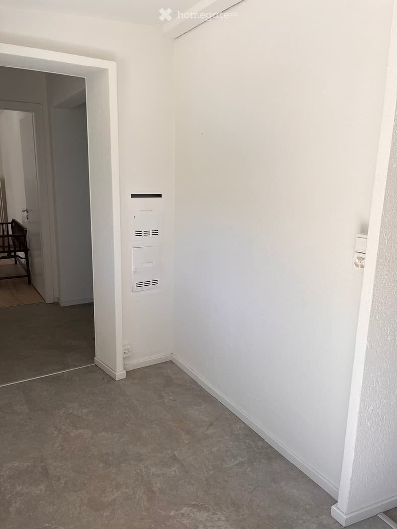 Empty hallway with white walls, carpeted floor, and a door leading to another room. Electrical outlets and a small panel are visible on the wall.